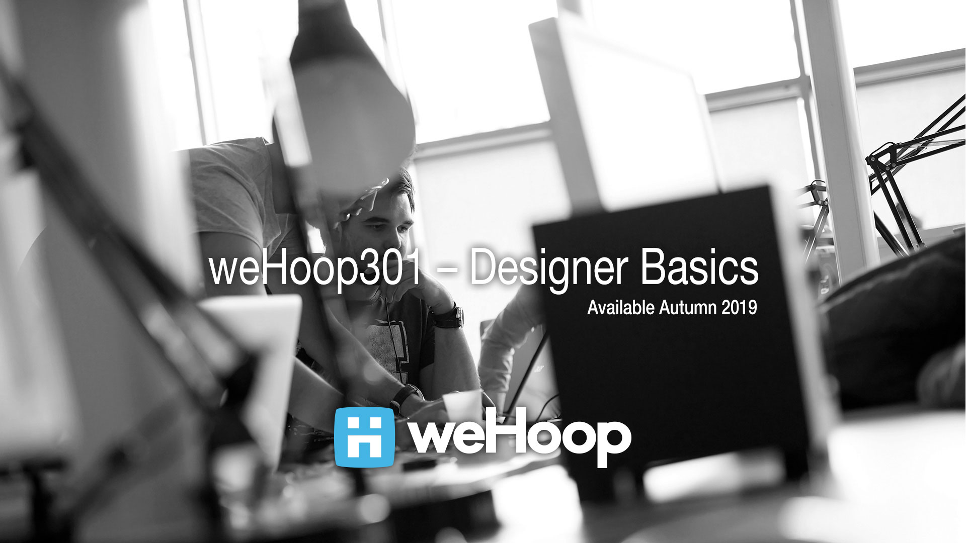 WEHOOP Designer 301