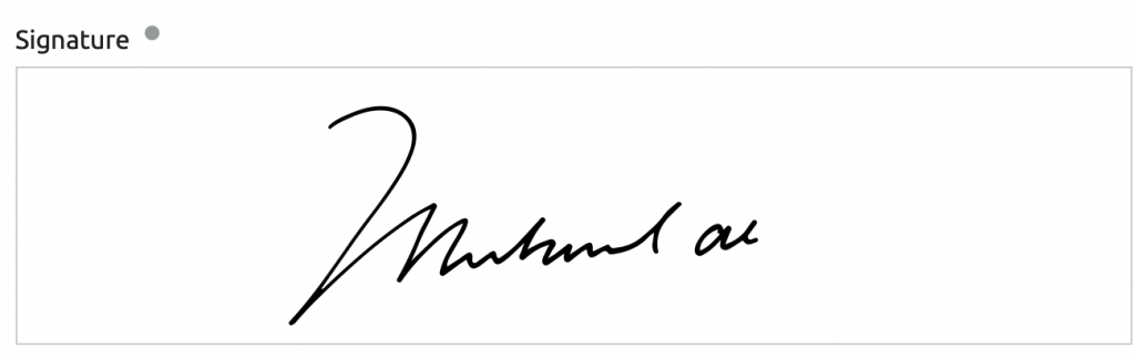 Représente un champ de type signature